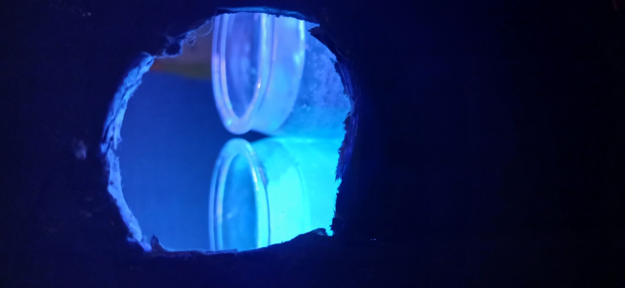 Fluo esperimento 2